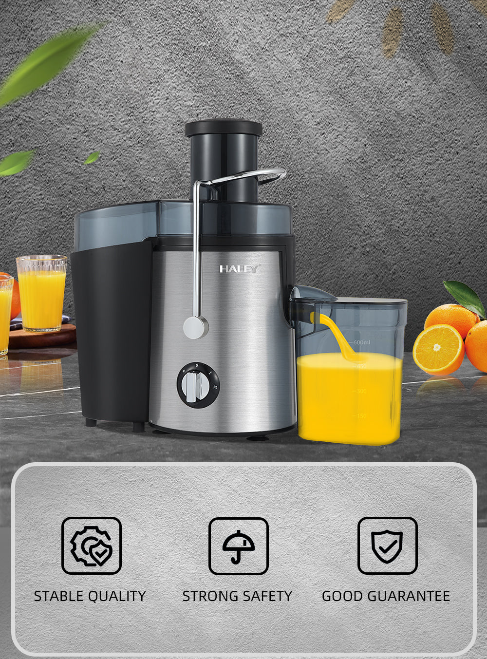 Storcător Electric Fructe și Legume HALEY 1000W – Panou Touch, Motor Puternic, Silențios, 500ml